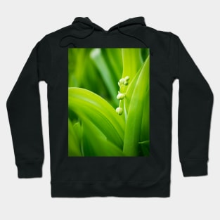 Lily of the Valley Hoodie